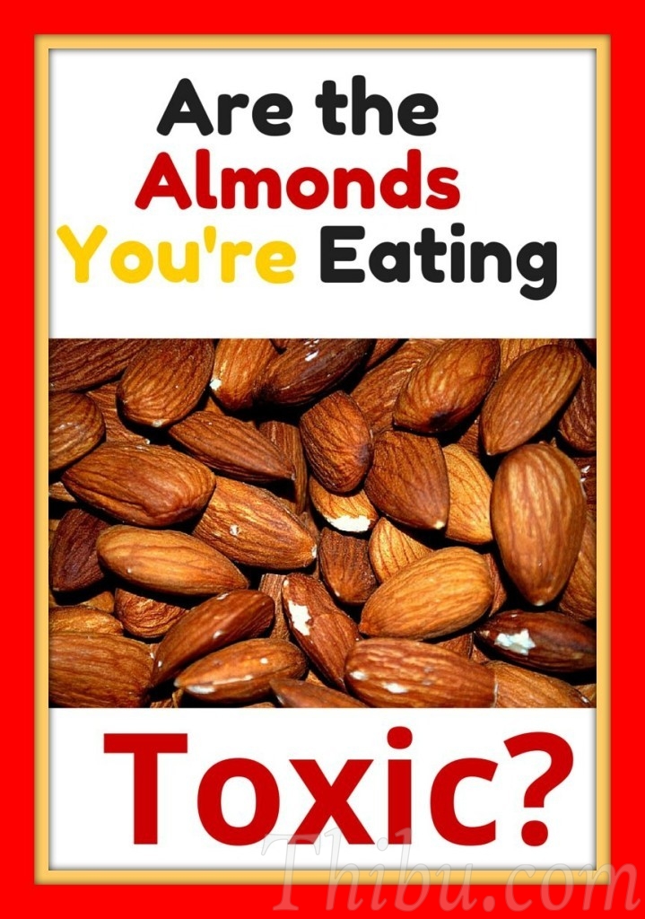 Almonds-11-719x1024