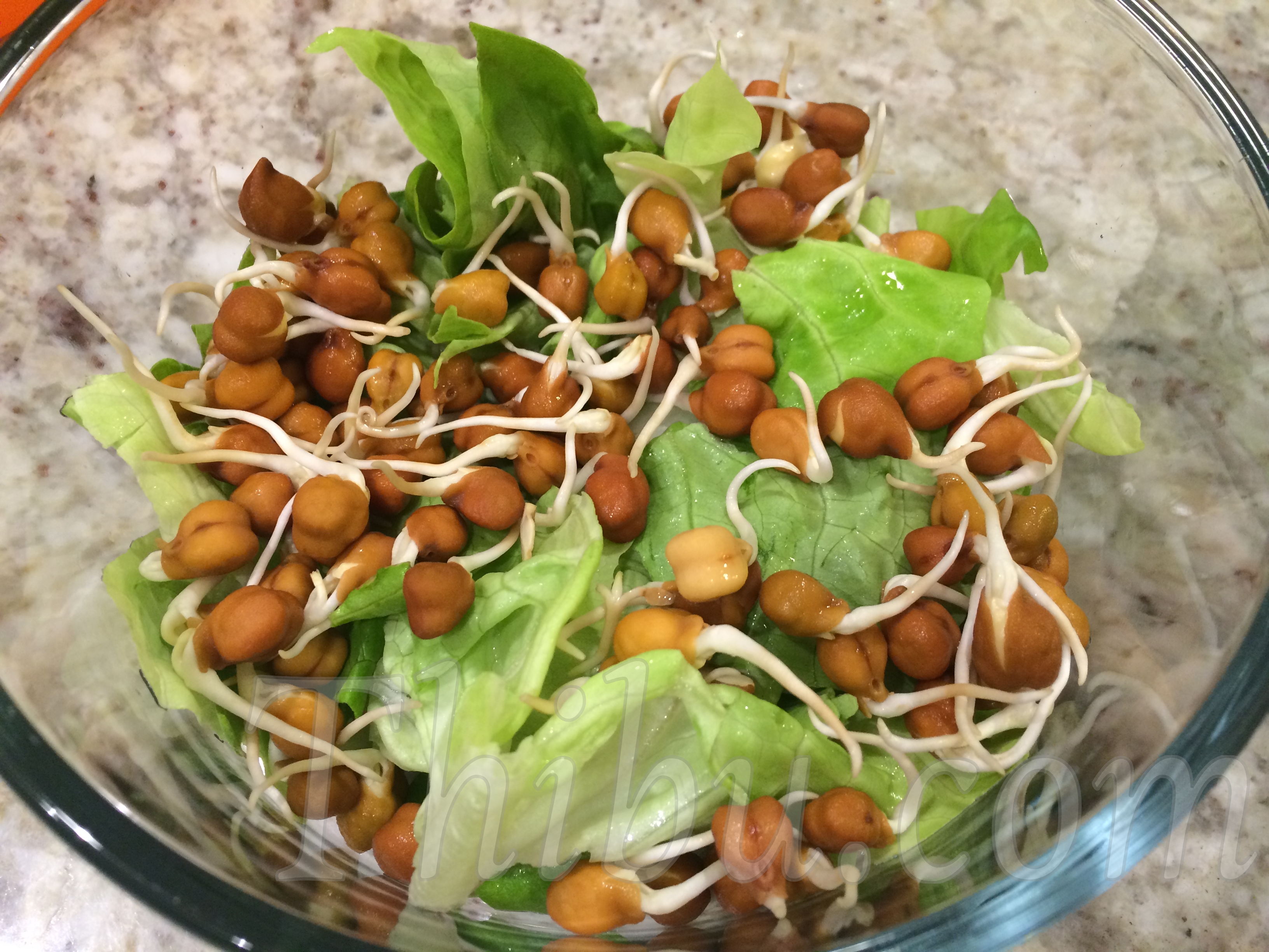 salad-for-lunch-with-black-chana-sprouts-thibu-times