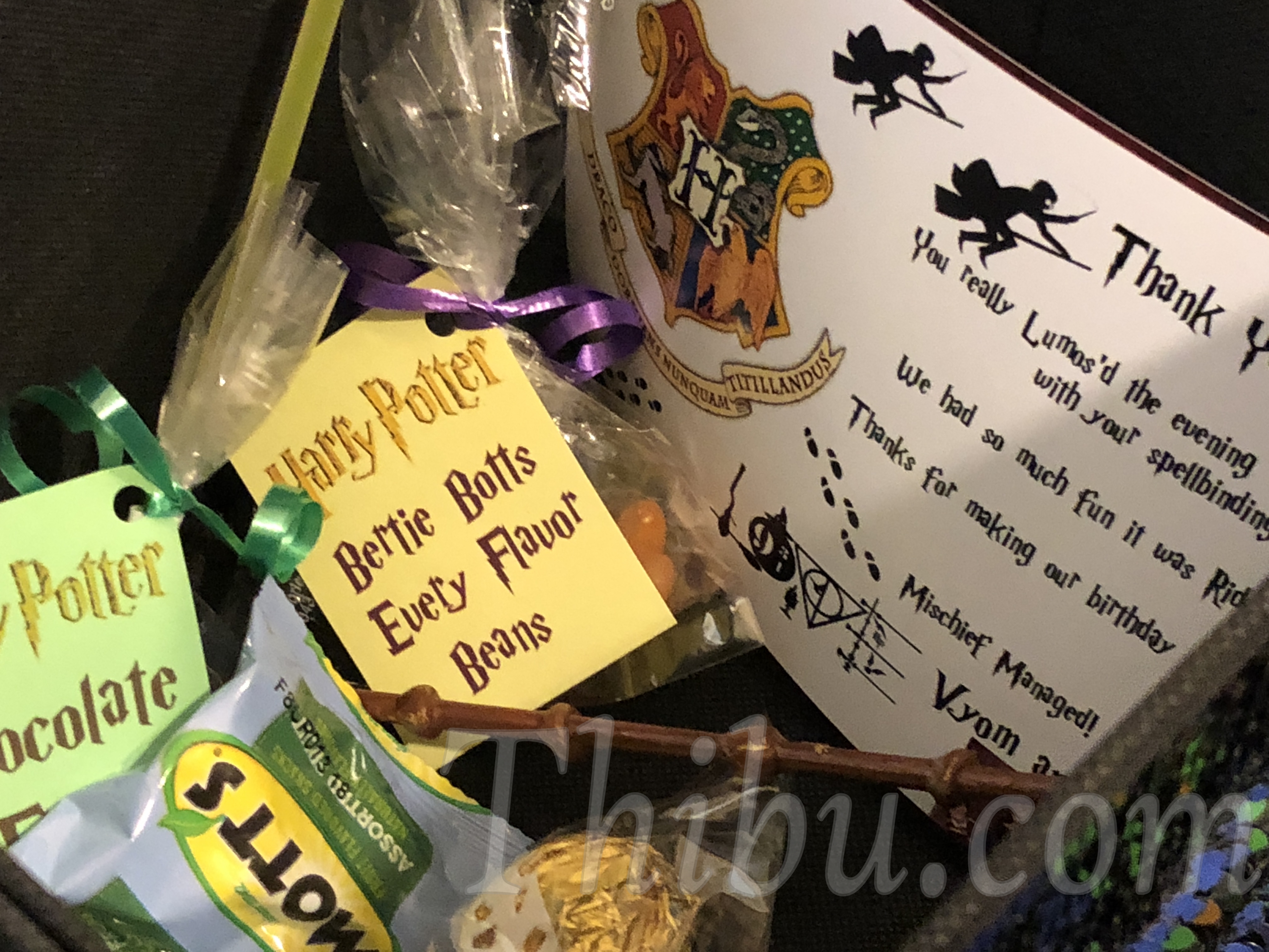 Birthday Goody Bags - Harry Potter Themed - Thibu Times